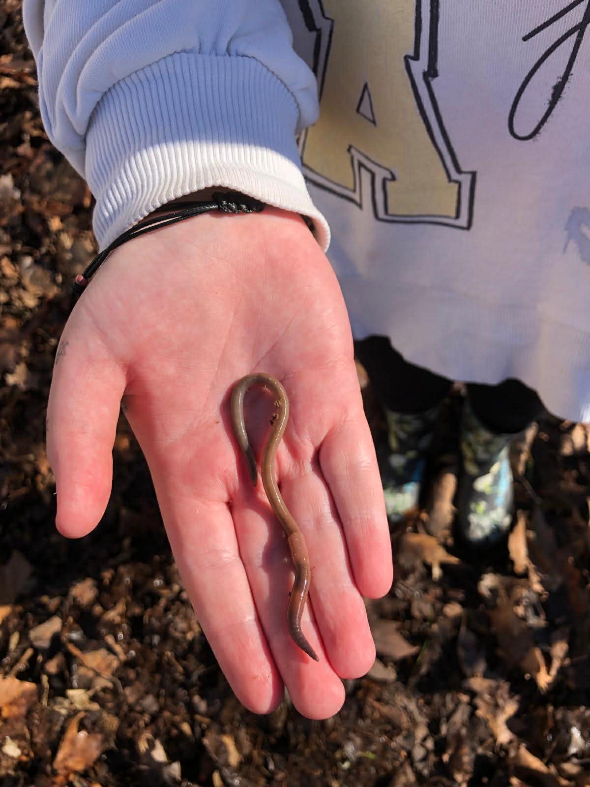 Blog list featured image